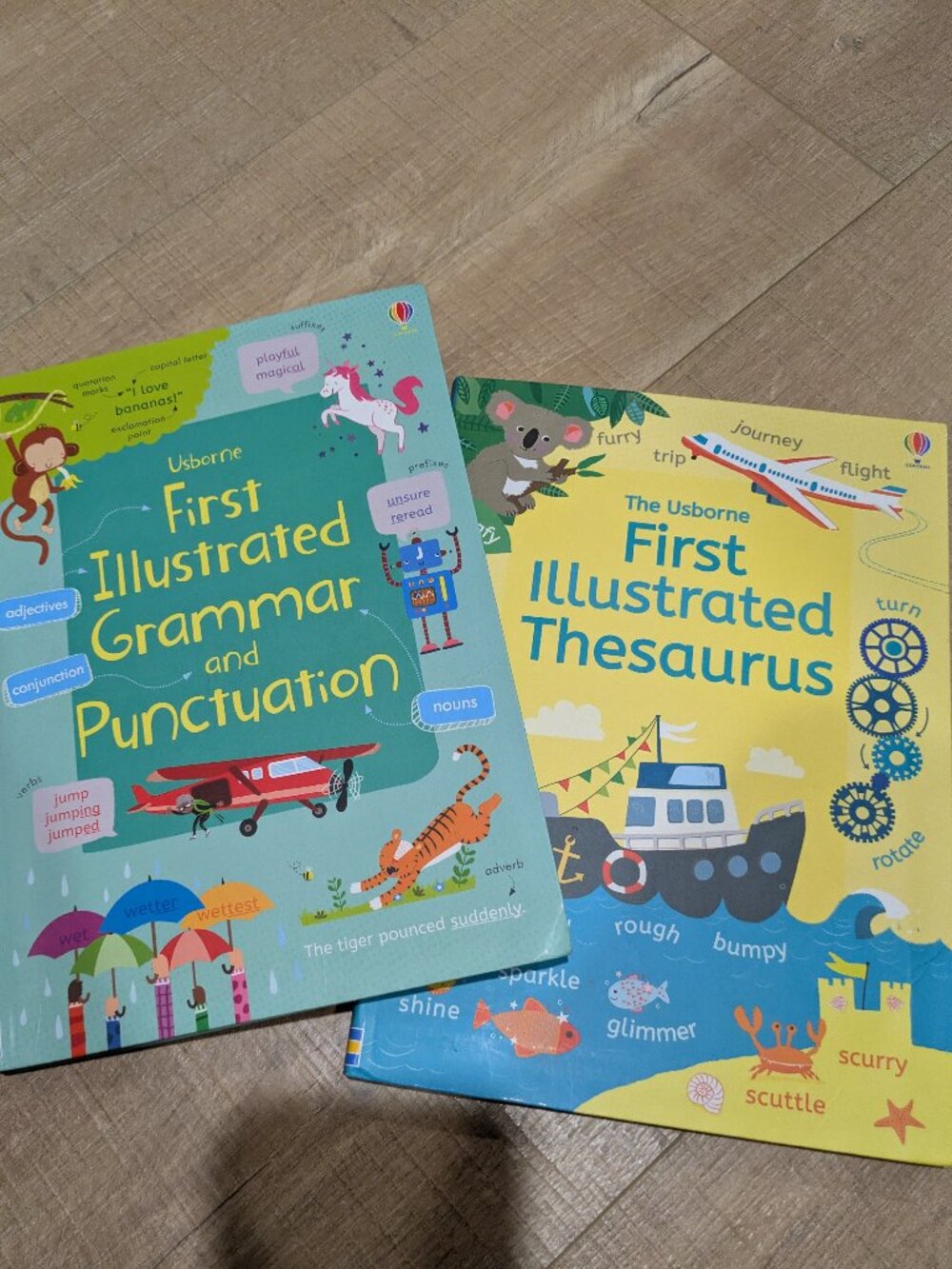 Usborne First Illustrated Grammar and Punctuation Book & Thesaurus Book